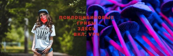 не бодяженный Алексин